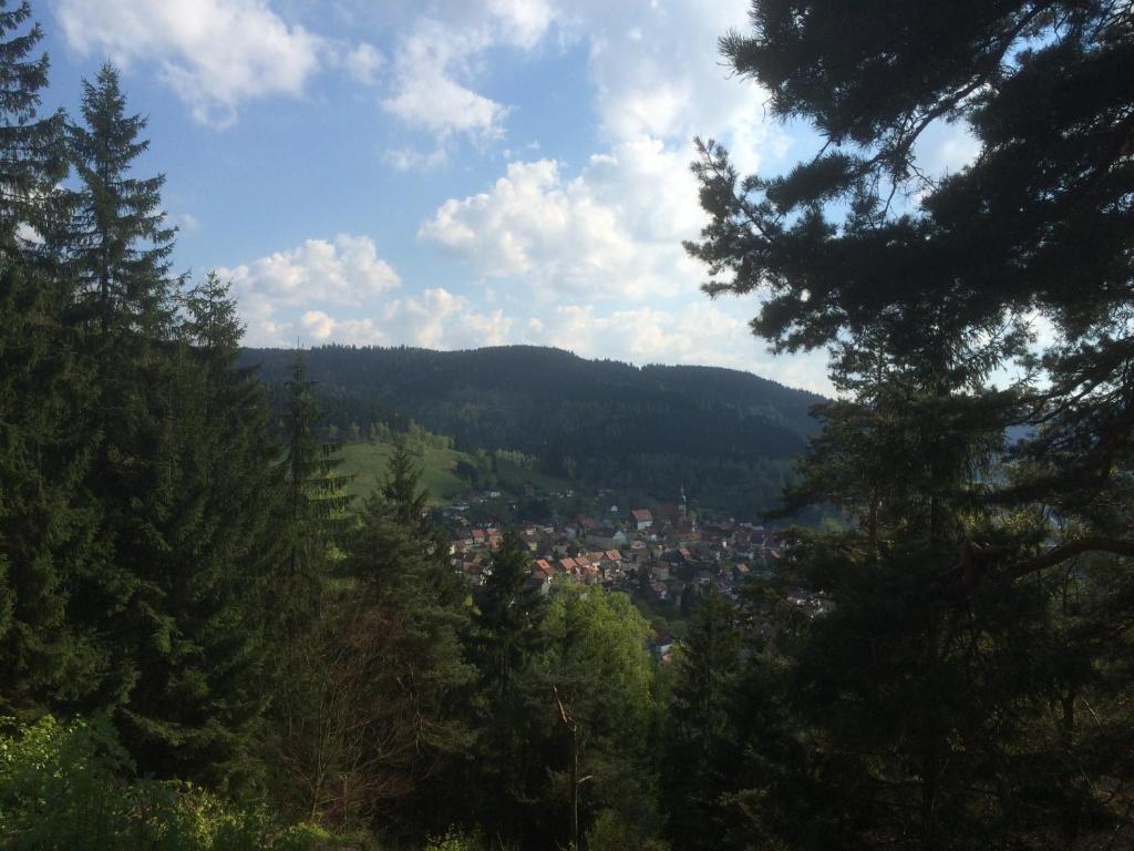 Landhaus Lautenthal Extérieur photo