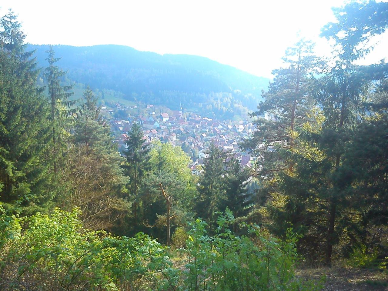 Landhaus Lautenthal Extérieur photo